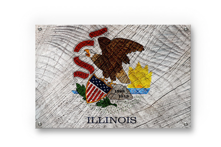 Illinois State Flag Graffiti Wall Art Printed on Brushed Aluminum