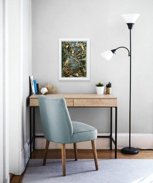 Batrachia (Frogs) Drawing (1899) by Ernst Haeckel Poster