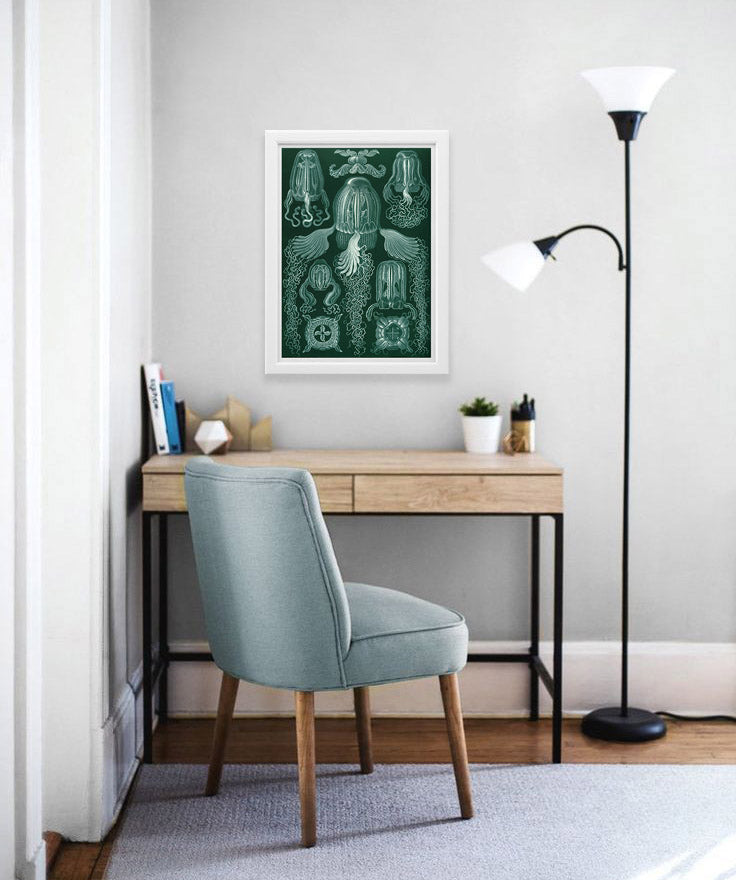 Cubomedusae Drawing (1904) by Ernst Haeckel Poster