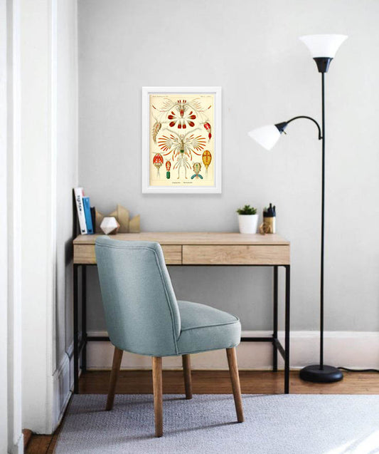 Copepoda Drawing (1904) by Ernst Haeckel Poster