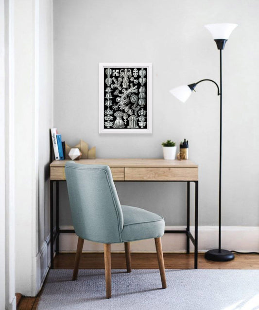 Gorgonida Drawing (1904) by Ernst Haeckel Poster