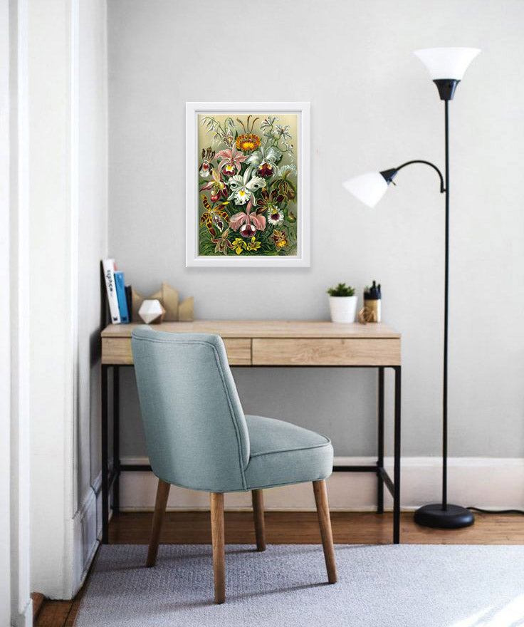 Orchidae Drawing (1899) by Ernst Haeckel Poster