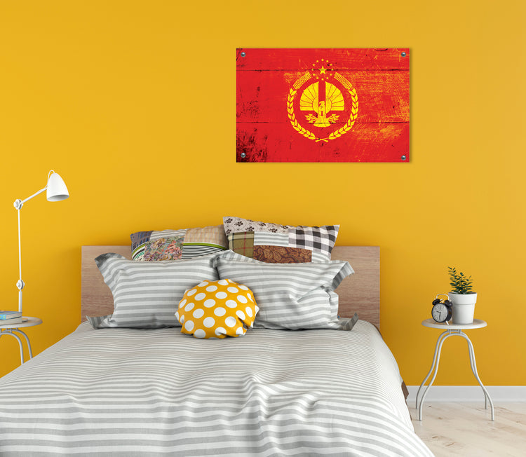 The Capitol of Panem (Hunger Games) Flag Graffiti Wall Art