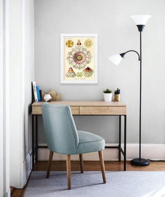 Peromedusae Drawing (1904) by Ernst Haeckel Poster