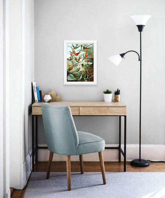 Trochilidae (Hummingbirds) Drawing (1899) by Ernst Haeckel Poster
