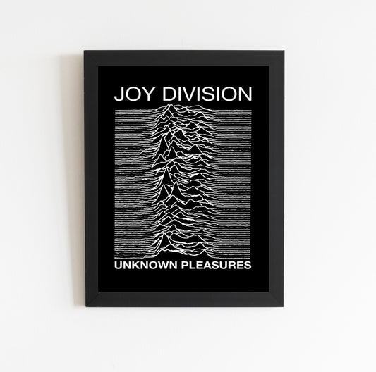 Joy Division "Unknown Pleasures" Concert Poster