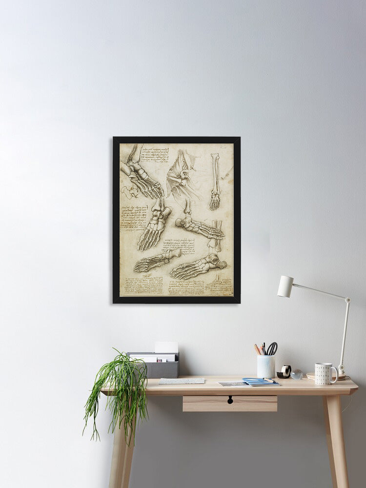 Anatomical Drawing (Bones & Muscles) by Leonardo Da Vinci Wall Art