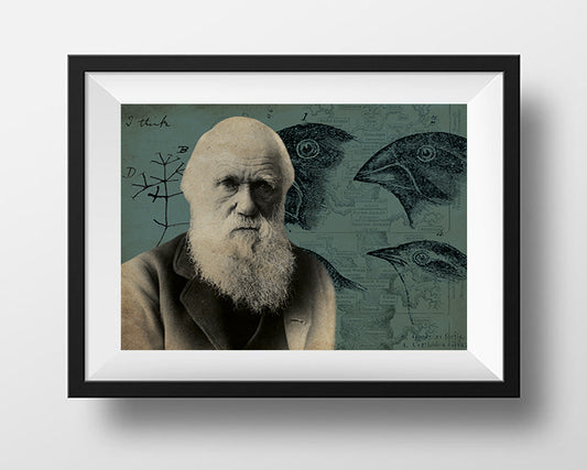 Charles Darwin Scientist Portrait Poster