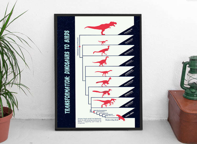 Dinosaurs to Birds Evolution Poster Wall Decor