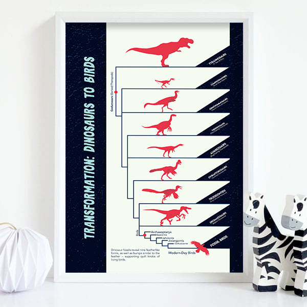 Dinosaurs to Birds Evolution Poster Wall Decor