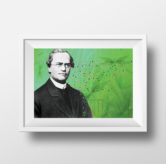 Gregor Mendel Scientist Portrait Poster