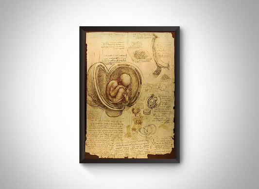 Studies of the Fetus in the Womb by Leonardo Da Vinci Wall Art