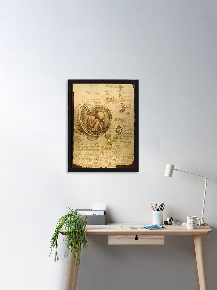 Studies of the Fetus in the Womb by Leonardo Da Vinci Wall Art