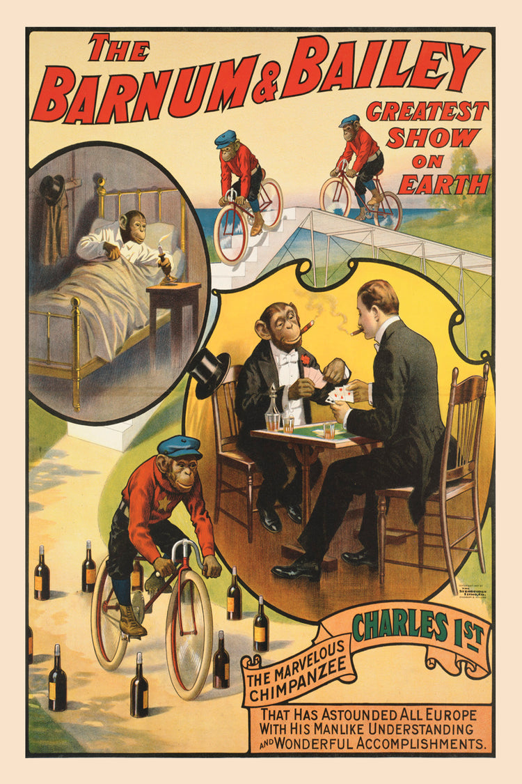 The Marvelous Chimpanzee Charles (Barnum & Bailey) Vintage Ad Poster