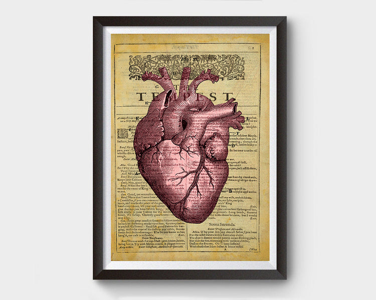 Gothic Heart Anatomy, the Tempest Inspired Art Poster