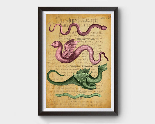 Vintage Serpents & Dragons with Latin Writings Inspired Art Poster